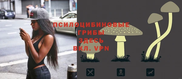 винт Бородино