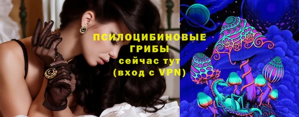 винт Бородино